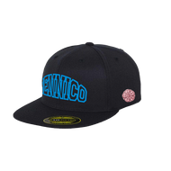 BENNICO BACK TO THE FUTURE CAP